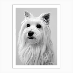 Maltese B&W Pencil Dog Art Print