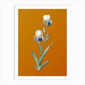 Vintage Elder Scented Iris Botanical on Sunset Orange n.0663 Art Print