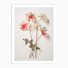 Pressed Flower Botanical Art Geranium 2 Art Print