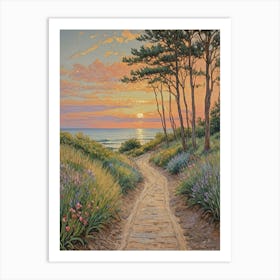 Path To The Beach Art Print