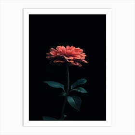 Single Flower 4 Art Print