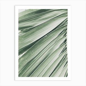 Palm Leaf Art Print