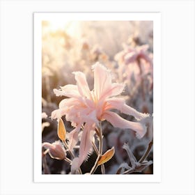 Frosty Botanical Honeysuckle 1 Art Print