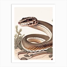 Mexican Dusky Rattlesnake Vintage Art Print