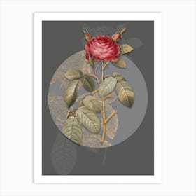 Vintage Botanical Red Gallic Rose on Circle Gray on Gray n.0309 Art Print