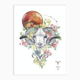 Aries Ram Art Print