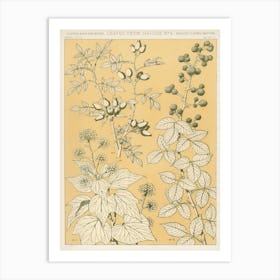 Vintage Flower Pattern, Owen Jones Art Print