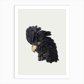 Parrot Vintage Bird Art Print_2835796 Art Print