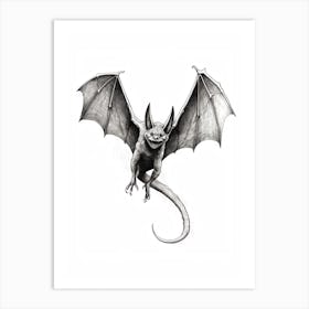 Big Free Tailed Bat Vintage Illustration 3 Art Print