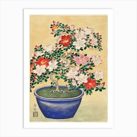 Blooming Azalea In Blue Pot, Ohara Koson Art Print