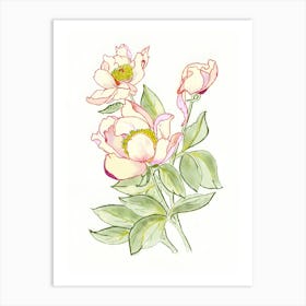 Peonies 10 Art Print