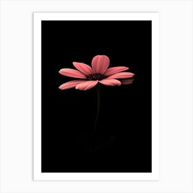 Pink Flower On A Black Background 2 Art Print