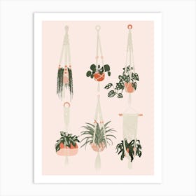 Hanging Houseplants Print  Art Print