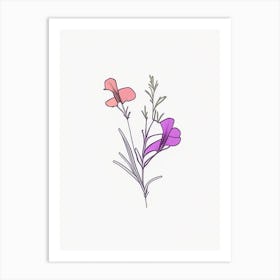 Nemesia Floral Minimal Line Drawing 4 Flower Art Print