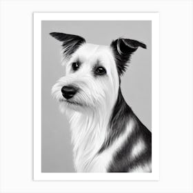 Australian Terrier B&W Pencil Dog Art Print