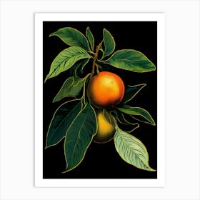 Pomegranate Art Print