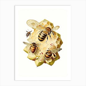 Colony Bees 1 Vintage Art Print