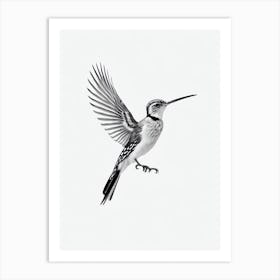 Hoopoe B&W Pencil Drawing 2 Bird Art Print