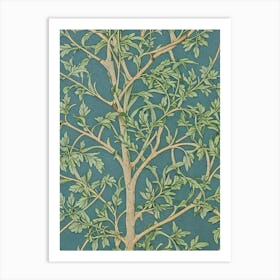 Quercus Velutina tree Vintage Botanical Art Print