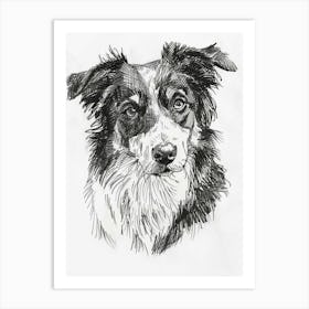 Australian Shepherd Dog Line Sketch 4 Art Print