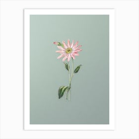 Vintage Mr. Dickson's Echinacea Botanical Art on Mint Green n.0936 Art Print