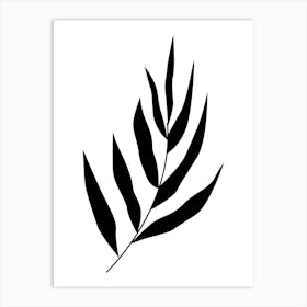 Black And White Leaf 4 Art Print