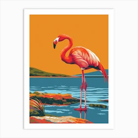 Greater Flamingo South America Chile Tropical Illustration 1 Art Print