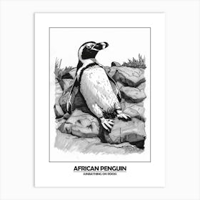 Penguin Sunbathing On Rocks Poster 1 Art Print