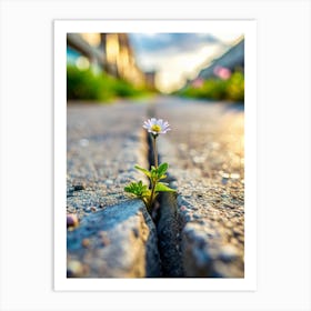 Concrete Garden Discover A Tiny Wildflower Bravel Art Print