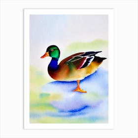 Mallard Duck Watercolour Bird Art Print