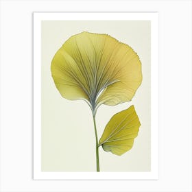 Ginkgo Herb Pencil Colour 2 Art Print