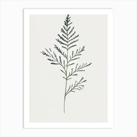 Yarrow Leaf Minimalist Watercolour 4 Art Print