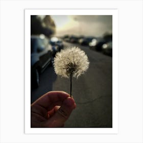 Dandelion Art Print