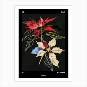 No Rain No Flowers Poster Poinsettia 2 Art Print