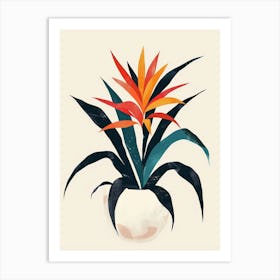 Bromeliad Plant Minimalist Illustration 6 Art Print