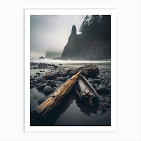 Driftwood On The Beach 4 Art Print