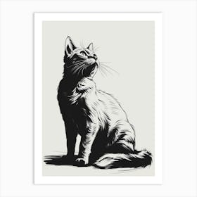 Cat In The Sky Art Print