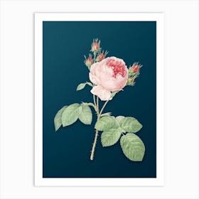 Vintage Pink Cabbage Rose Botanical Art on Teal Blue n.0790 Art Print