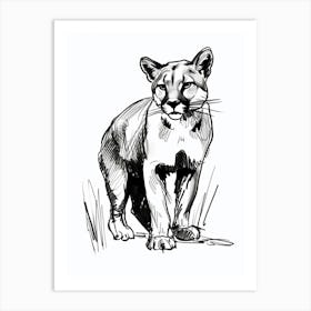 B&W Cougar Art Print