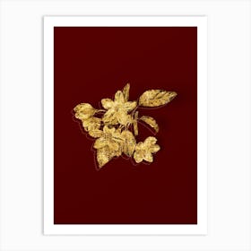 Vintage Crabapple Botanical in Gold on Red n.0523 Art Print