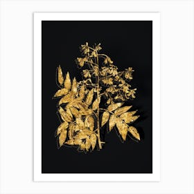 Vintage Japanese Pagoda Tree Botanical in Gold on Black n.0486 Art Print