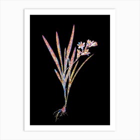 Stained Glass Gladiolus Xanthospilus Mosaic Botanical Illustration on Black Art Print