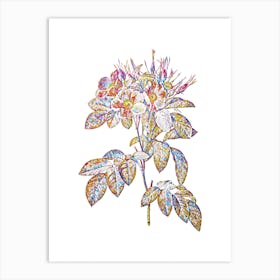 Stained Glass Pasture Rose Mosaic Botanical Illustration on White Art Print