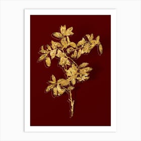 Vintage Apple Berry Botanical in Gold on Red Art Print