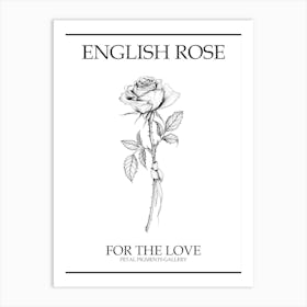 English Rose Black And White Line Drawing 21 Poster Art Print