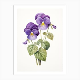 Violets Flower Vintage Botanical 0 Art Print
