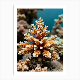 Coral Reef 3 Art Print