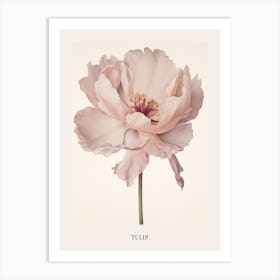 Floral Illustration Tulip 3 Poster Art Print