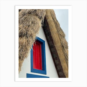 Thatched Roof Art Print