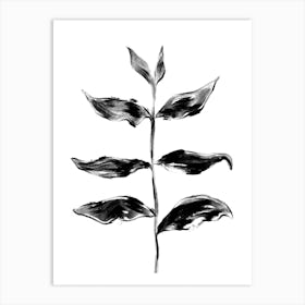 Black Plant One Art Print